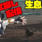 【アークナイツ】ナマ…生息演算「砂中の火」に挑戦！  FEZ探し配信【Arknights/明日方舟】