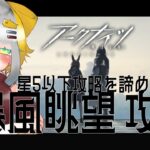 【アークナイツ/Arknights】縛りを打ち捨てた女の9章『暴風眺望』攻略❕❕【Vtuber/虎爺(こや)】9-1から～