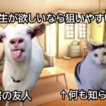 【アークナイツ】リー先生PUのお話【猫ミーム】