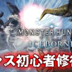 初心者ランサー武者修行！【モンスターハンターワールド:アイスボーン/MHW:IB】