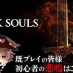 【初見 DARK SOULS】既プレイ民のための初心者の叫びが量産される配信【DARK SOULS REMASTERD / VTuber /鳥塚 コウ/ フロムソフトウェア 】