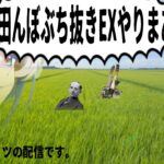 アークナイツ｜田んぼぶち抜きEXを攻略します。