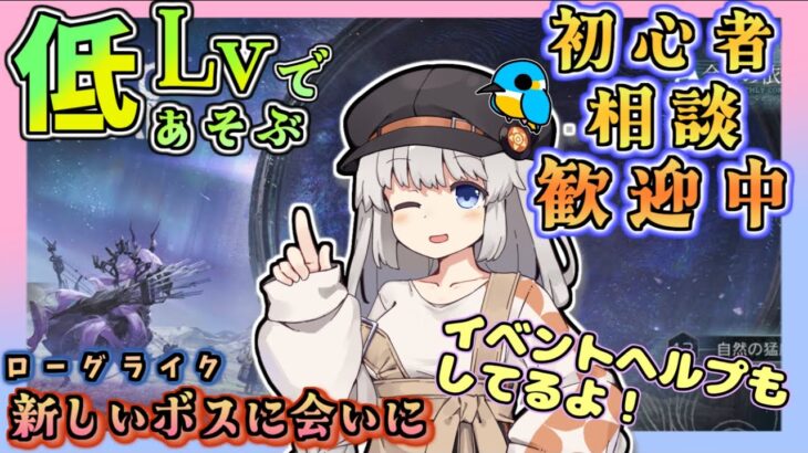 【アークナイツ・毎日配信】低レベルで遊ぶサーミローグライク　イベントヘルプもしています　初心者歓迎！初見さんもおいでませ！　【ゆかコネNEO】昇進１レベル40　低レベル縛り