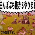 アークナイツ｜田んぼぶち抜きSとMOを攻略します。