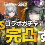 【R6Sガチャ】おりゅ……おりゃん………【アークナイツ/Vtuber/春水レイ】