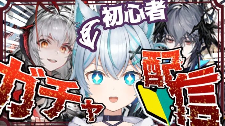 【 #アークナイツ】運つよつよ初心者ドクターによる初のガチャ回【新人Vtuber】