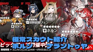 【アークナイツ】　恒常スカウト(5月23日〜6月6日)を偏見マシマシで評価　【ナラントゥヤ、ホルン】