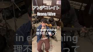 【Acoustic Cover】Reona 「Alive」アニメ　アークナイツの主題歌#大阪#アンデコレイト #Studio Live#邦ロック #Alive #Reona#Acoustic