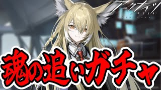 【アークナイツ】追いガチャ決行！！限定：荒蕪ラップランドとウルピスフォリア何体でる？【Vtuber / 雪翔】