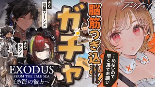 【 #アークナイツ 】引星ソーンズ&テクノちゃん！をガチャで絶対お迎え！SIDE STORY「白き海の彼方へ」【明日方舟 / Arknights】