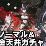 【アークナイツ】相見歓 ノーマル/熾吾生平300連　シュウのために天井まで貯めてきた！