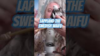 Unboxing Figure Lappland the Swedish Anime Waifu #anime #arknights #manga #figure #unboxing #shorts