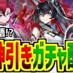 【アークナイツ】世はまさに大灼熱時代！？新キャラ引くぞぉぉぉぉ！！！シーちゃんも…そろそろ来てくれていいんだぞ【相見歓/pigu】【大陸情報やめてね】