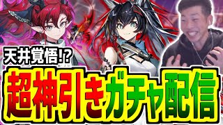 【アークナイツ】世はまさに大灼熱時代！？新キャラ引くぞぉぉぉぉ！！！シーちゃんも…そろそろ来てくれていいんだぞ【相見歓/pigu】【大陸情報やめてね】