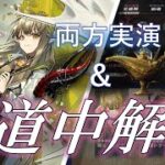 【IS5 D15/D18】ミュルジスは全てを解決する――！カズデル高難易度の道中を主任と一緒に解説してみた【アークナイツ｜サルカズの炉辺奇談】