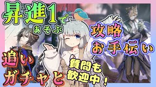 【アークナイツ・毎日配信】昇進１で遊ぶ　追いガチャと攻略お手伝い！　 初心者・質問大歓迎！【ゆかコネNEO・合成音声】低レベル・昇進1レベル40