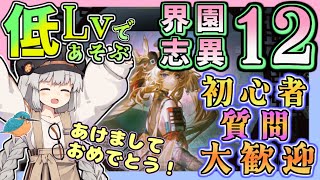 【アークナイツ・毎日配信】低レベルで遊ぶ迎客入園12　初心者・質問大歓迎！【ゆかコネNEO・合成音声】低レベル・昇進1レベル40 　歳の界園志異 15回目