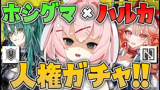 【#アークナイツ】斬業ホシグマと遥のガチャを引く配信！！【Arknights/명일방주/桜兎めう】