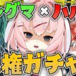 【#アークナイツ】斬業ホシグマとハルカを引く配信！！【Arknights/명일방주/桜兎めう】