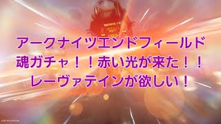 【アークナイツエンドフィールド】魂ガチャ！！レーヴァテイン狙う！！