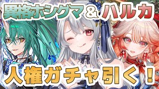 【 #アークナイツ 】ガチャ配信！人権と聞いたので異格ホシグマとハルカ引きますわ【 イノリア 】#vtuber #墟