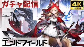 【アークナイツ エンドフィールド】17_ロッシをお出迎えするぞ！【ウルフパール / ガチャ配信】