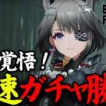 【アークナイツ：エンドフィールド】タンタン来た！！最速でガチャ引くぞ！！アークナイツ：エンドフィールド完全初見プレイ！【LIVE】