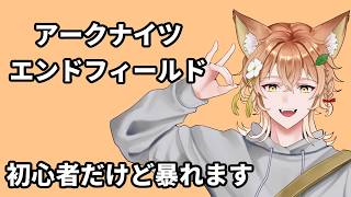 【アークナイツ：エンドフィールド】初心者だけど暴れます