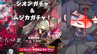 【アークナイツ】運が悪すぎる、疑似天井のアークナイツは癒やし【トリッカル】