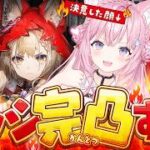 【アークナイツ：エンドフィールド】最推しロッシたんを完凸するぞ！！！ガチャの時間だあああ🔥🔥🔥【博衣こより/ホロライブ】