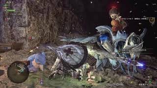 MHWilds モンハンワイルズ 初心者