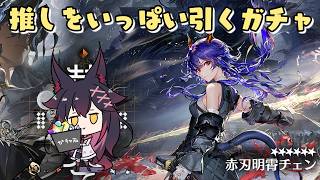 【アークナイツ】チェンを出来る限りいっぱい引きたいガチャ配信【紅葉煉瓦/VTuber】