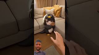 にげる..管理人#エンドフィールド#arknightsend Field #アークナイツ：エンドフィール🤣#shorts